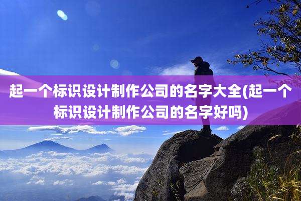 起一个标识设计制作公司的名字大全(起一个标识设计制作公司的名字好吗)
