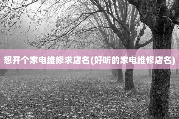 想开个家电维修求店名(好听的家电维修店名)