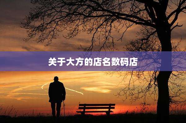 关于大方的店名数码店