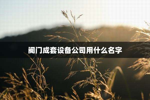 阀门成套设备公司用什么名字