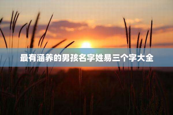 最有涵养的男孩名字姓易三个字大全