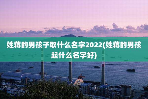 姓蒋的男孩子取什么名字2022(姓蒋的男孩起什么名字好)