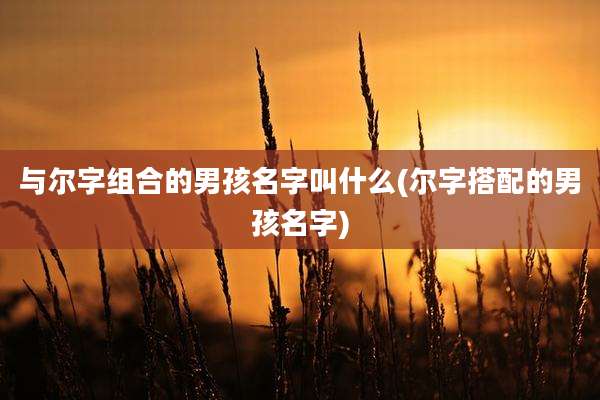 与尔字组合的男孩名字叫什么(尔字搭配的男孩名字)