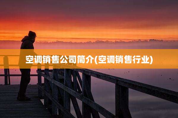 空调销售公司简介(空调销售行业)