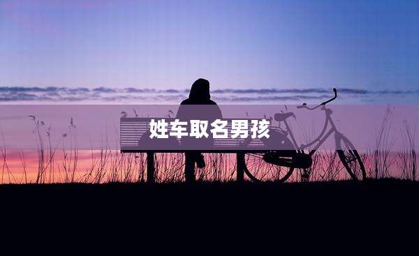 姓车取名男孩
