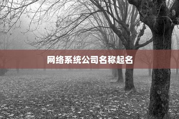 网络系统公司名称起名