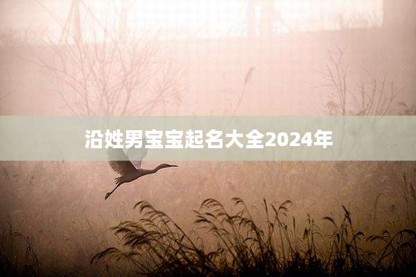 沿姓男宝宝起名大全2024年