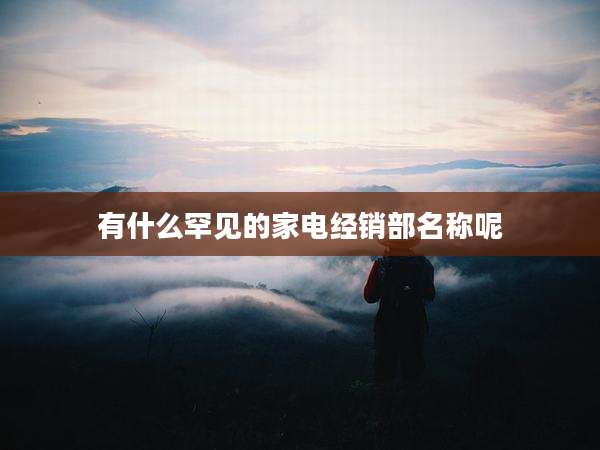 有什么罕见的家电经销部名称呢