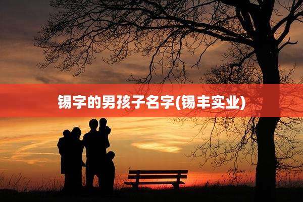 锡字的男孩子名字(锡丰实业)