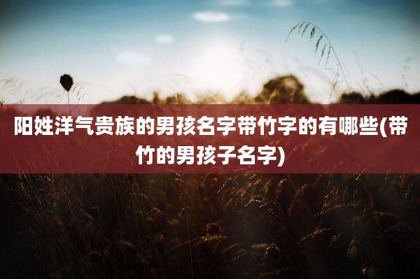 阳姓洋气贵族的男孩名字带竹字的有哪些(带竹的男孩子名字)