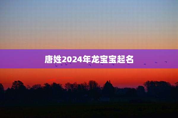 唐姓2024年龙宝宝起名