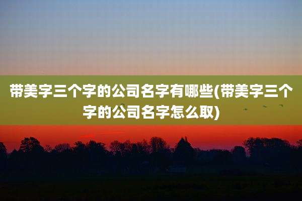 带美字三个字的公司名字有哪些(带美字三个字的公司名字怎么取)