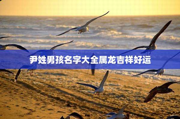 尹姓男孩名字大全属龙吉祥好运