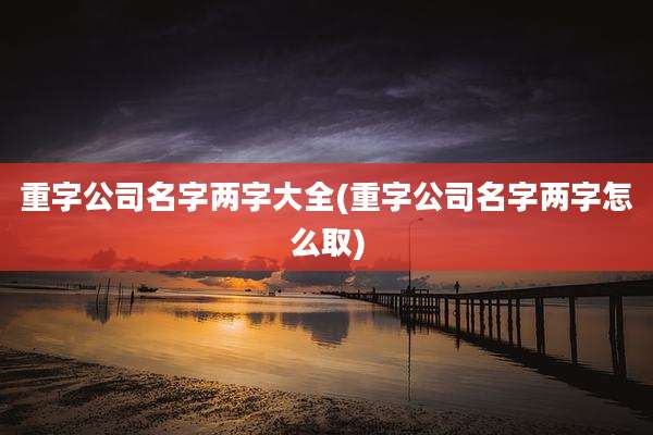 重字公司名字两字大全(重字公司名字两字怎么取)