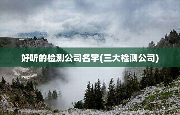 好听的检测公司名字(三大检测公司)