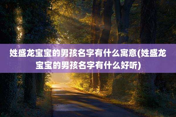 姓盛龙宝宝的男孩名字有什么寓意(姓盛龙宝宝的男孩名字有什么好听)