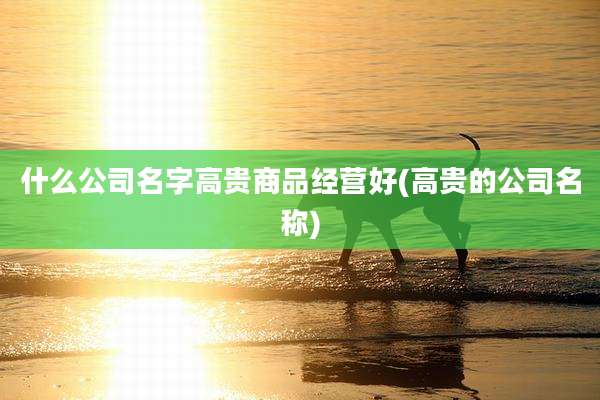 什么公司名字高贵商品经营好(高贵的公司名称)