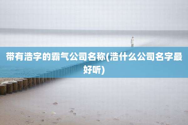 带有浩字的霸气公司名称(浩什么公司名字最好听)