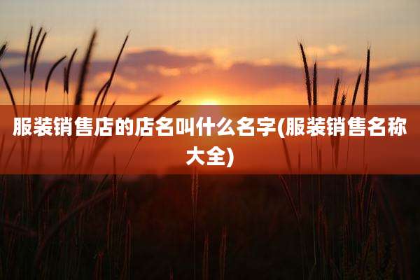 服装销售店的店名叫什么名字(服装销售名称大全)