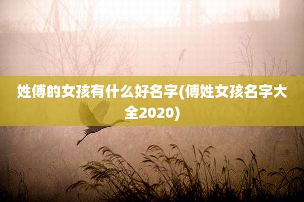 姓傅的女孩有什么好名字(傅姓女孩名字大全2020)