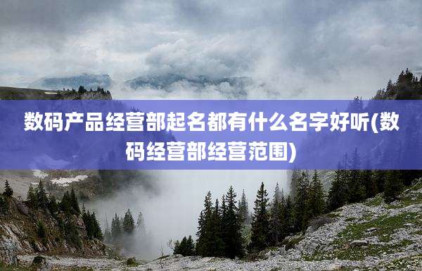 数码产品经营部起名都有什么名字好听(数码经营部经营范围)