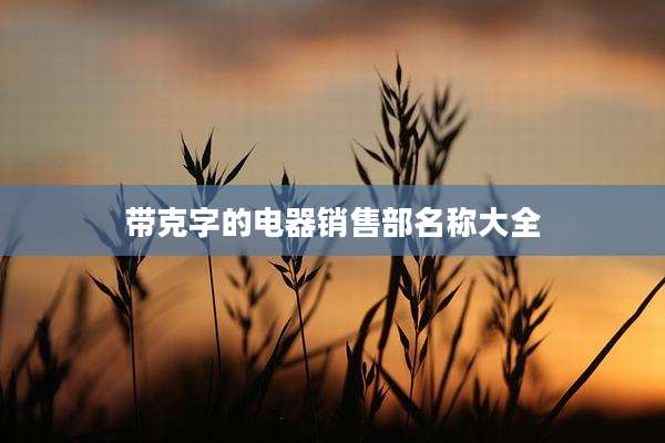 带克字的电器销售部名称大全