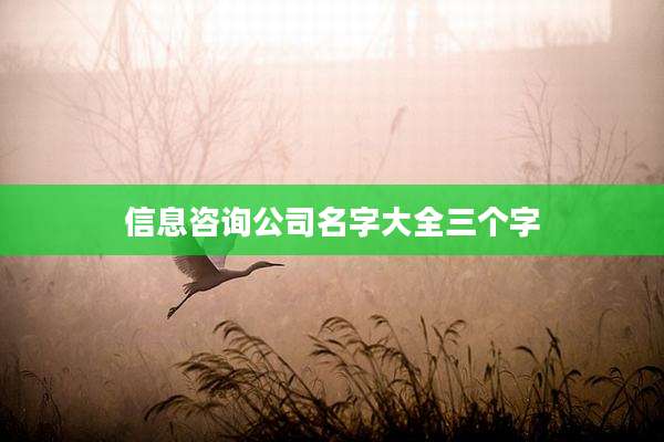信息咨询公司名字大全三个字