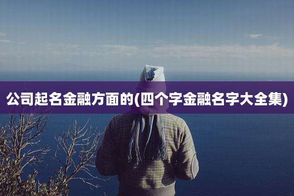 公司起名金融方面的(四个字金融名字大全集)