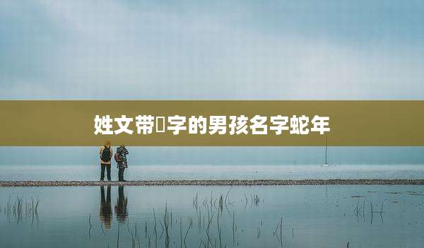 姓文带渃字的男孩名字蛇年