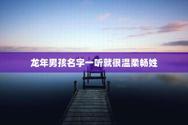 龙年男孩名字一听就很温柔畅姓