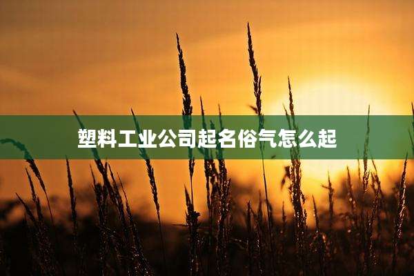 塑料工业公司起名俗气怎么起