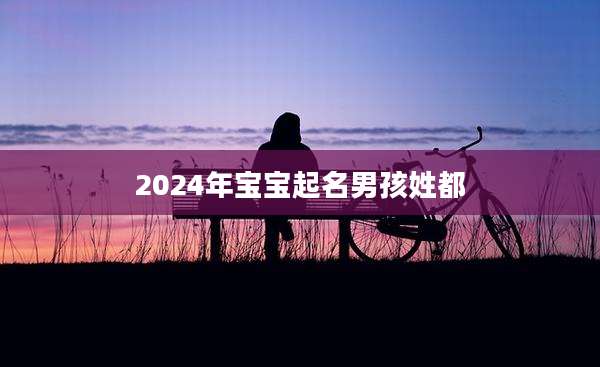 2024年宝宝起名男孩姓都