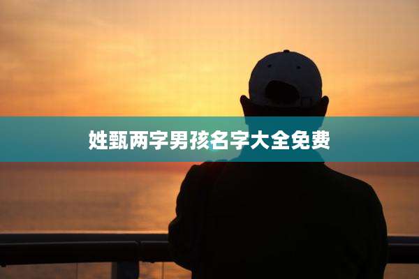 姓甄两字男孩名字大全免费