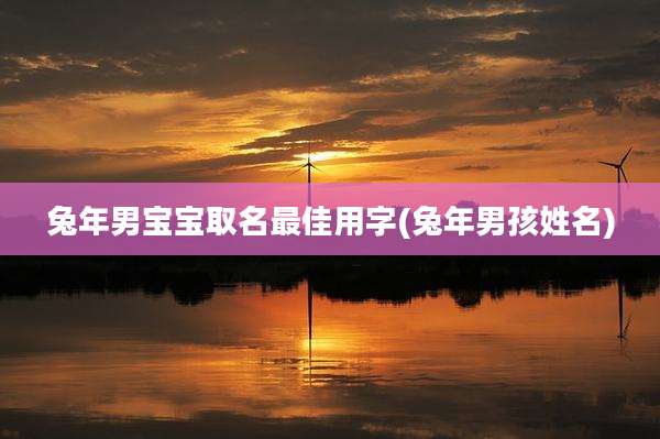 兔年男宝宝取名最佳用字(兔年男孩姓名)