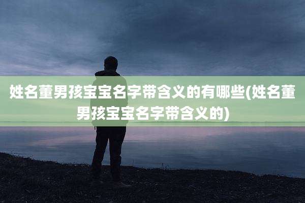 姓名董男孩宝宝名字带含义的有哪些(姓名董男孩宝宝名字带含义的)
