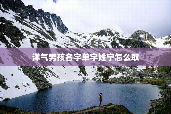 洋气男孩名字单字姓宁怎么取