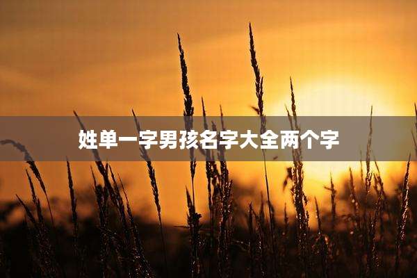 姓单一字男孩名字大全两个字