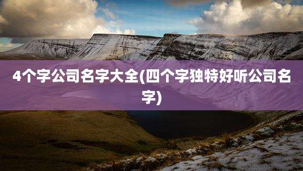 4个字公司名字大全(四个字独特好听公司名字)