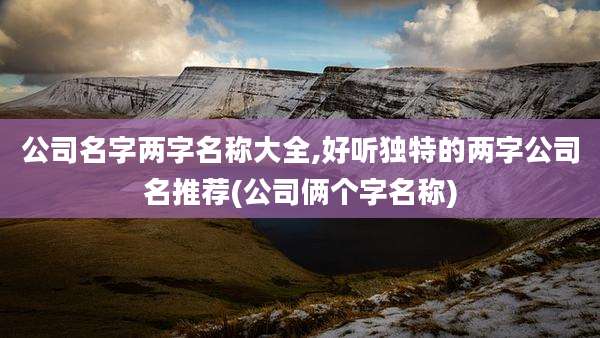 公司名字两字名称大全,好听独特的两字公司名推荐(公司俩个字名称)