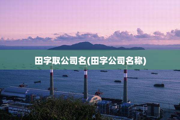 田字取公司名(田字公司名称)