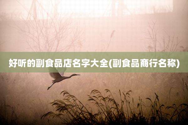 好听的副食品店名字大全(副食品商行名称)