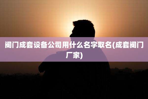 阀门成套设备公司用什么名字取名(成套阀门厂家)