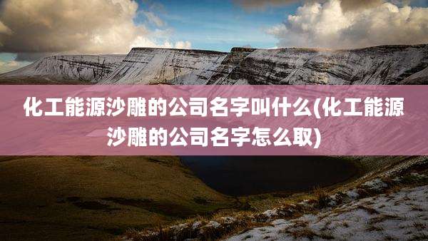 化工能源沙雕的公司名字叫什么(化工能源沙雕的公司名字怎么取)