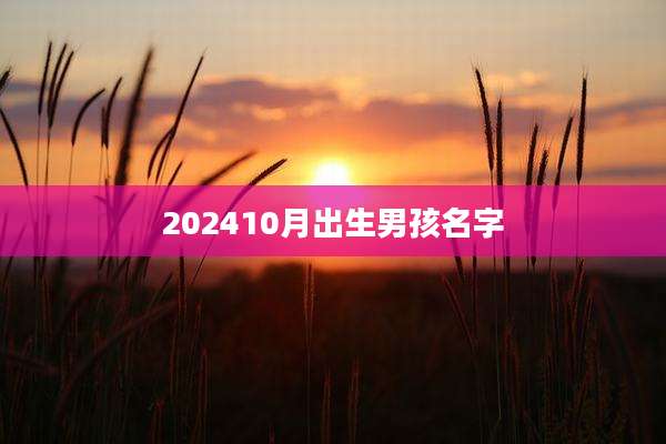 202410月出生男孩名字