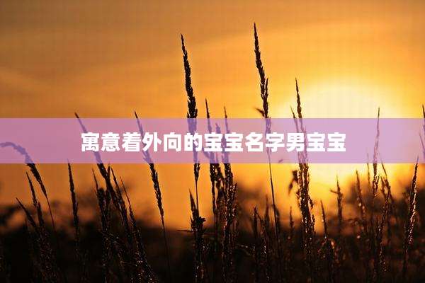 寓意着外向的宝宝名字男宝宝