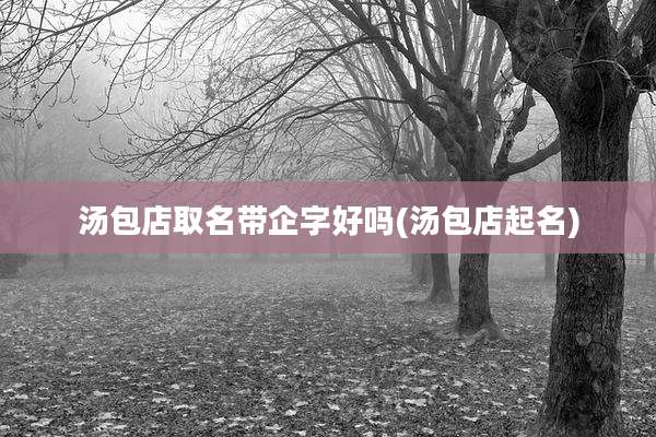 汤包店取名带企字好吗(汤包店起名)