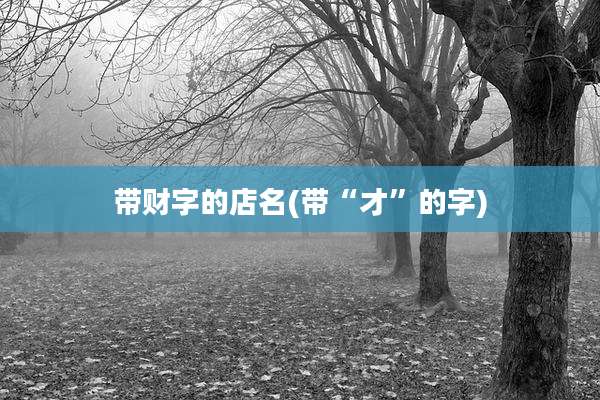 带财字的店名(带“才”的字)