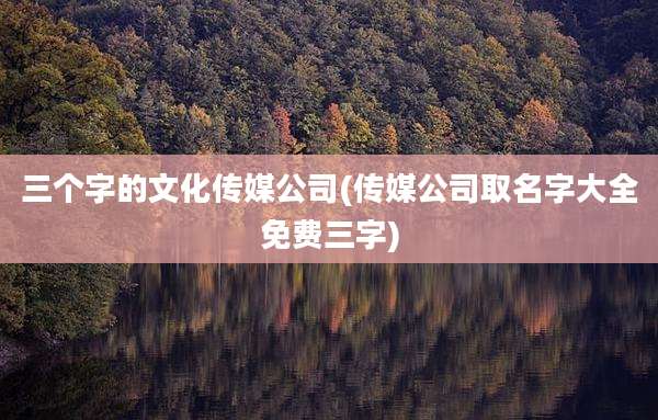 三个字的文化传媒公司(传媒公司取名字大全免费三字)