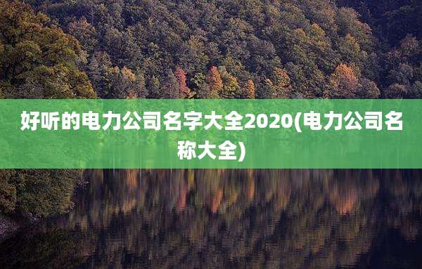 好听的电力公司名字大全2020(电力公司名称大全)