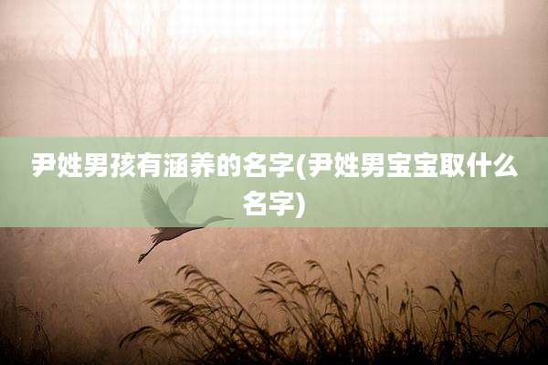 尹姓男孩有涵养的名字(尹姓男宝宝取什么名字)